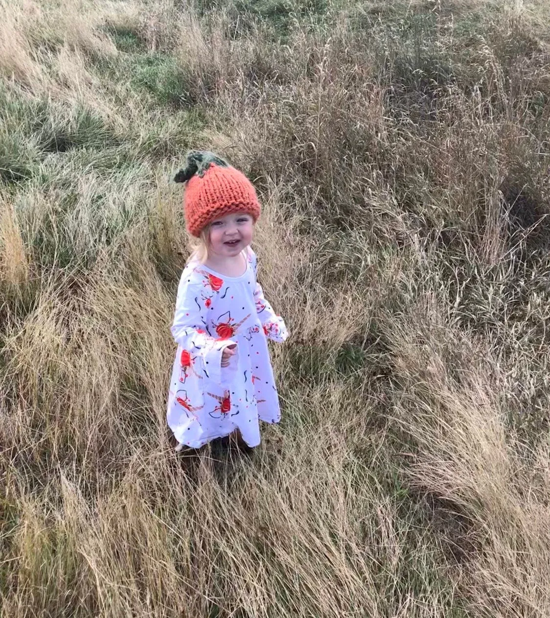 Baby Toddler Pumpkin Hat, Hand knit FAll Pumpkin Halloween Hat